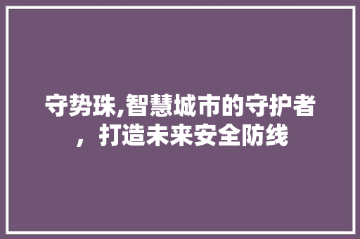 守势珠,智慧城市的守护者，打造未来安全防线 百度SEO