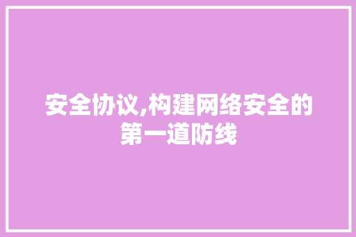 安全协议,构建网络安全的第一道防线 百度SEO