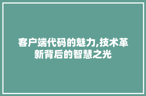 客户端代码的魅力,技术革新背后的智慧之光
