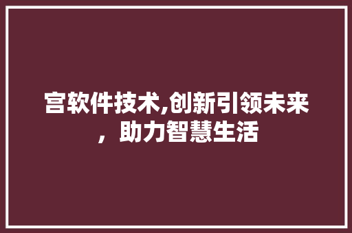 宫软件技术,创新引领未来，助力智慧生活