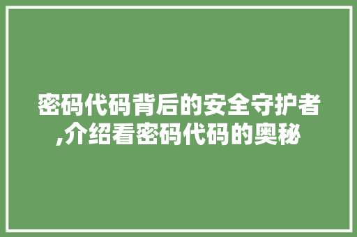 密码代码背后的安全守护者,介绍看密码代码的奥秘