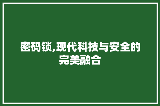密码锁,现代科技与安全的完美融合