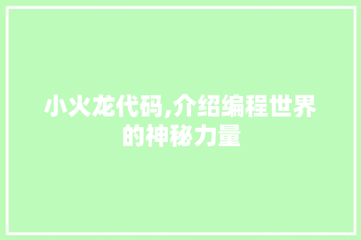 小火龙代码,介绍编程世界的神秘力量 GoogleSEO