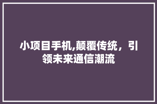 小项目手机,颠覆传统，引领未来通信潮流 神马SEO