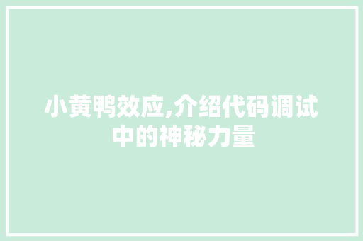 小黄鸭效应,介绍代码调试中的神秘力量 搜狗SEO