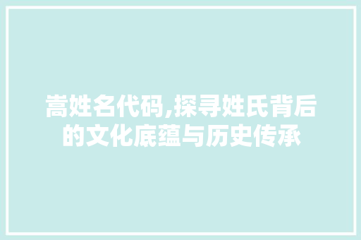 嵩姓名代码,探寻姓氏背后的文化底蕴与历史传承 必应SEO