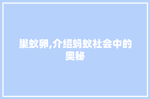 巢蚁卵,介绍蚂蚁社会中的奥秘