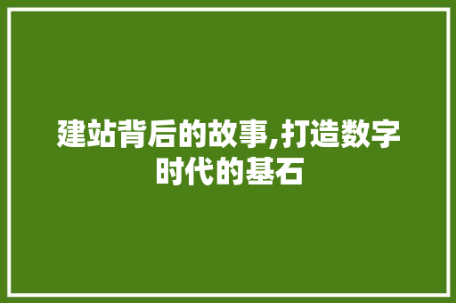 建站背后的故事,打造数字时代的基石 必应SEO