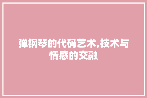 弹钢琴的代码艺术,技术与情感的交融 必应SEO