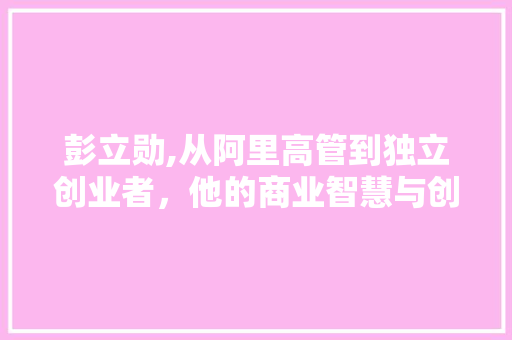 彭立勋,从阿里高管到独立创业者，他的商业智慧与创新之路