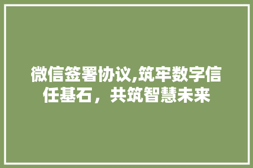 微信签署协议,筑牢数字信任基石，共筑智慧未来 必应SEO