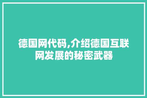 德国网代码,介绍德国互联网发展的秘密武器 必应SEO