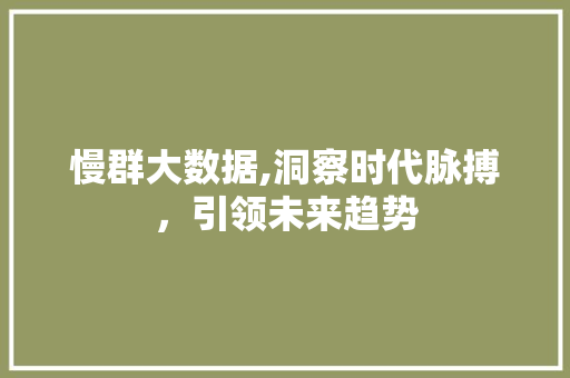 慢群大数据,洞察时代脉搏，引领未来趋势 神马SEO