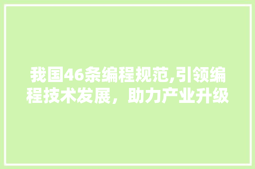 我国46条编程规范,引领编程技术发展，助力产业升级 GoogleSEO