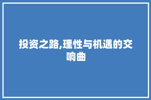 投资之路,理性与机遇的交响曲 GoogleSEO