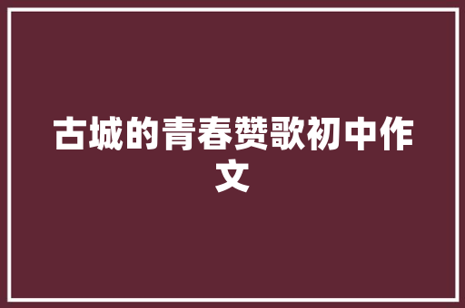 探寻伪代码之美,素数与编程的奇妙邂逅 GoogleSEO