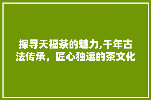 探寻天福茶的魅力,千年古法传承，匠心独运的茶文化瑰宝 GoogleSEO