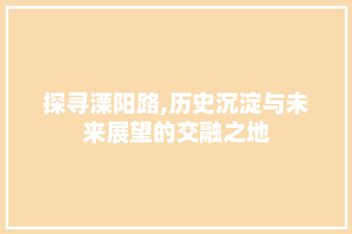 探寻溧阳路,历史沉淀与未来展望的交融之地 GoogleSEO