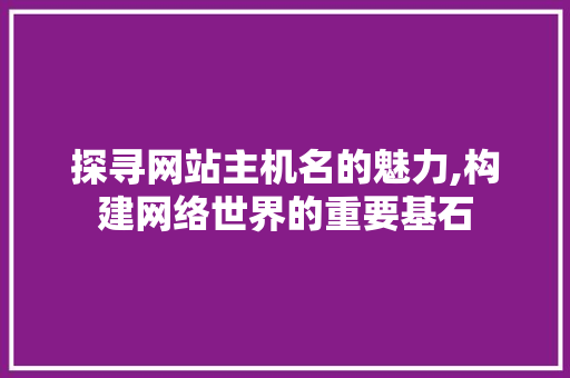 探寻网站主机名的魅力,构建网络世界的重要基石 GoogleSEO