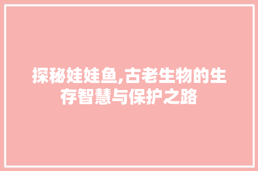 探秘娃娃鱼,古老生物的生存智慧与保护之路
