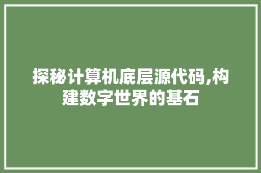 探秘计算机底层源代码,构建数字世界的基石 搜狗SEO
