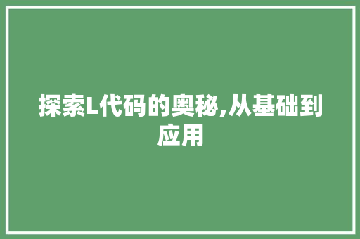 探索L代码的奥秘,从基础到应用 GoogleSEO