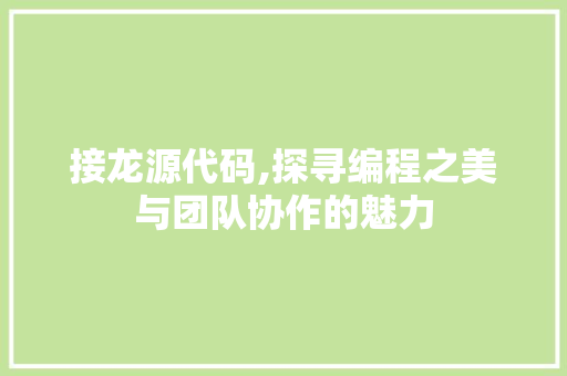 接龙源代码,探寻编程之美与团队协作的魅力 搜狗SEO
