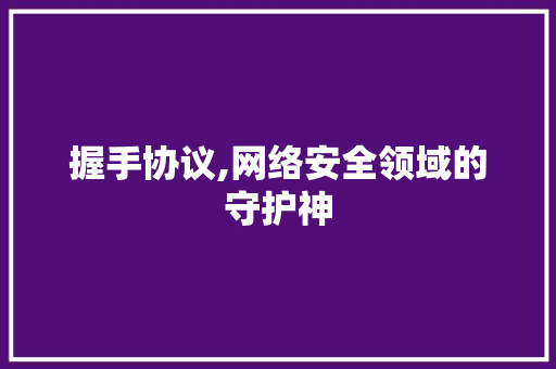 握手协议,网络安全领域的守护神 搜狗SEO