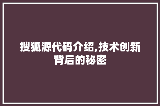 搜狐源代码介绍,技术创新背后的秘密 神马SEO