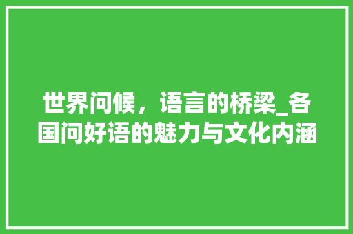 世界问候，语言的桥梁_各国问好语的魅力与文化内涵 百度SEO