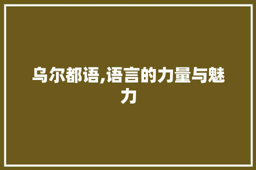乌尔都语,语言的力量与魅力