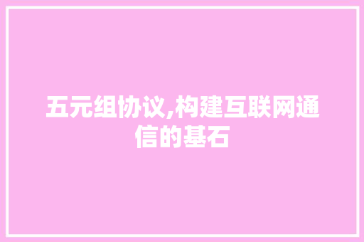 五元组协议,构建互联网通信的基石 百度SEO