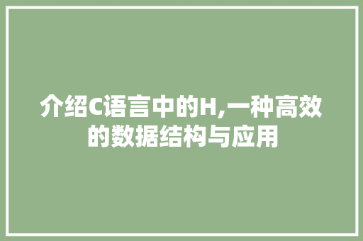 介绍C语言中的H,一种高效的数据结构与应用 GoogleSEO