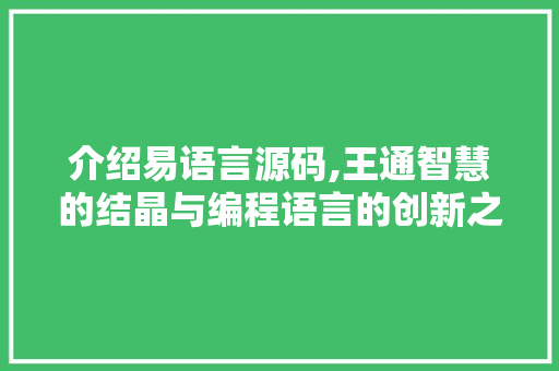 介绍易语言源码,王通智慧的结晶与编程语言的创新之路 GoogleSEO