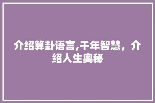 介绍算卦语言,千年智慧，介绍人生奥秘 必应SEO