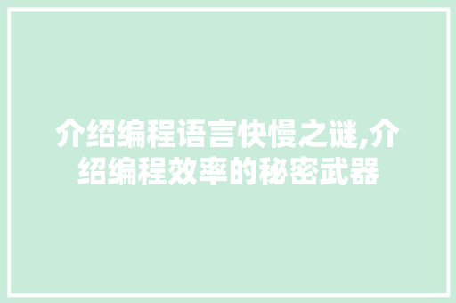介绍编程语言快慢之谜,介绍编程效率的秘密武器 神马SEO