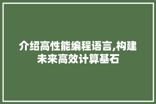 介绍高性能编程语言,构建未来高效计算基石