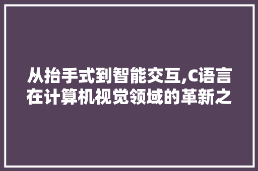 从抬手式到智能交互,C语言在计算机视觉领域的革新之旅 GoogleSEO
