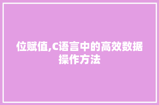 位赋值,C语言中的高效数据操作方法 GoogleSEO