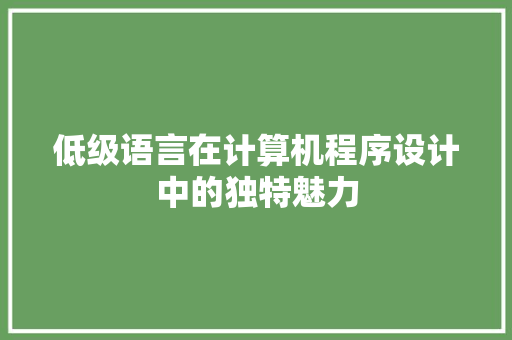 低级语言在计算机程序设计中的独特魅力 神马SEO
