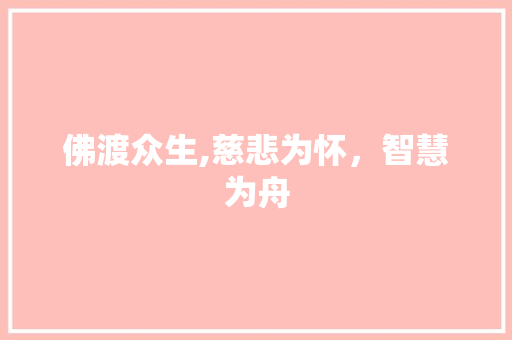 佛渡众生,慈悲为怀，智慧为舟 百度SEO