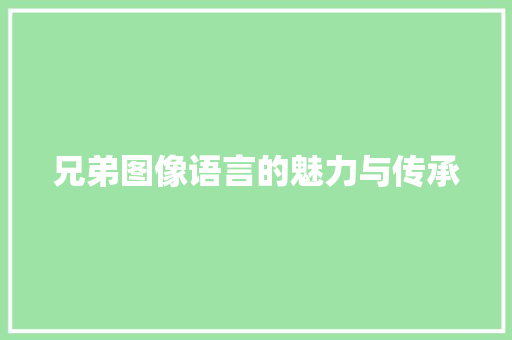 兄弟图像语言的魅力与传承 神马SEO