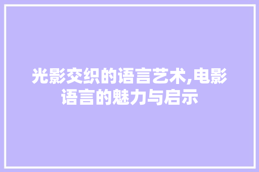 光影交织的语言艺术,电影语言的魅力与启示 必应SEO