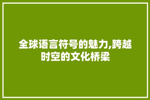 全球语言符号的魅力,跨越时空的文化桥梁 神马SEO