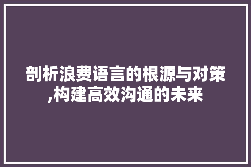 剖析浪费语言的根源与对策,构建高效沟通的未来 必应SEO