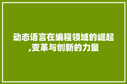 动态语言在编程领域的崛起,变革与创新的力量 百度SEO