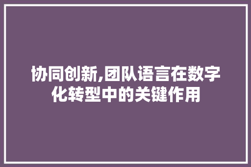 协同创新,团队语言在数字化转型中的关键作用 必应SEO