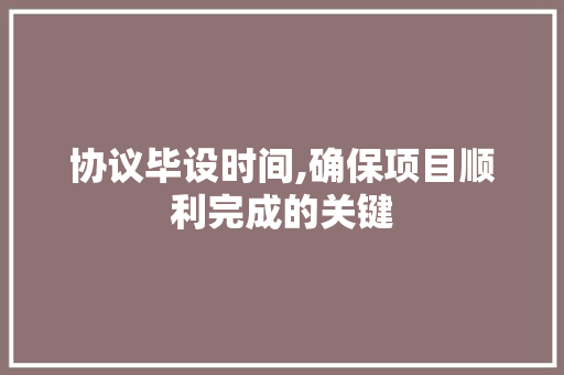 协议毕设时间,确保项目顺利完成的关键