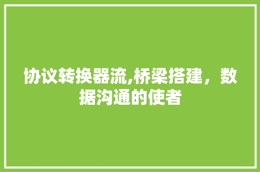 协议转换器流,桥梁搭建，数据沟通的使者 GoogleSEO