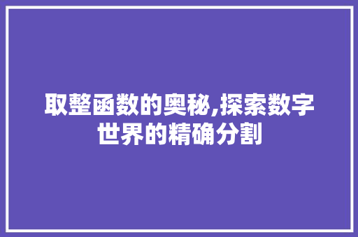 取整函数的奥秘,探索数字世界的精确分割 必应SEO